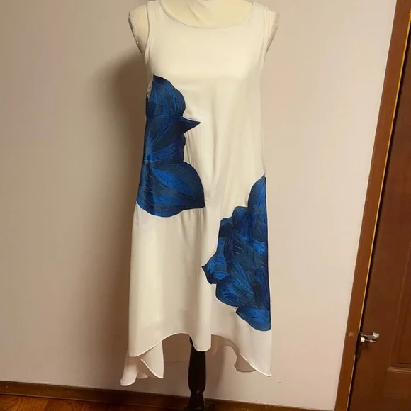Ranna Gill Dresses | Ranna Gill For Anthropologie Embroidered Dress, High-Low, Sz S | Color: Blue/White | Size: S | Gld226's Closet Ranna Gill Dresses | Ranna Gill For Anthropologie Embroidered Dress, High-Low, Sz S | Color: Blue/White | Size: S | Gld226's Closet